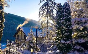 Reikartz Карпати